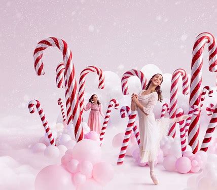 qpac nutcracker